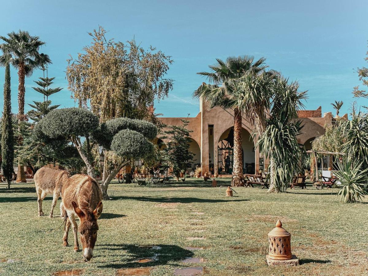 Hotel Le Bled De Gre El Makina Exteriér fotografie