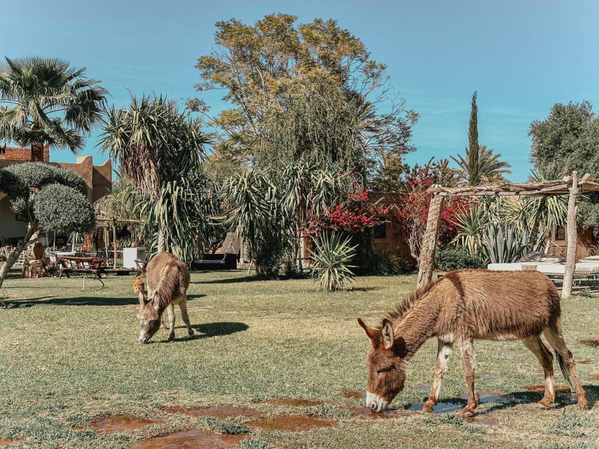 Hotel Le Bled De Gre El Makina Exteriér fotografie