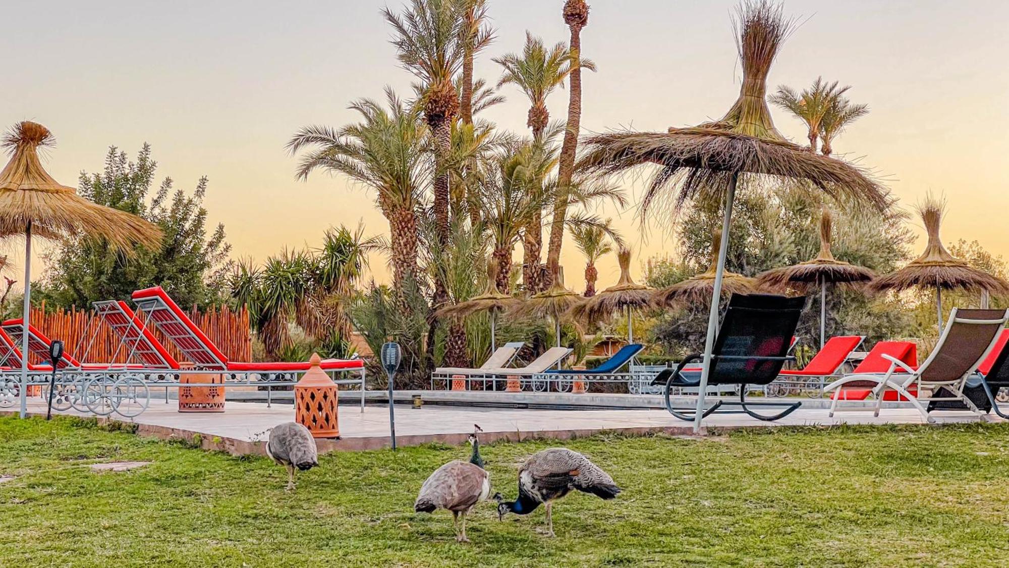 Hotel Le Bled De Gre El Makina Exteriér fotografie